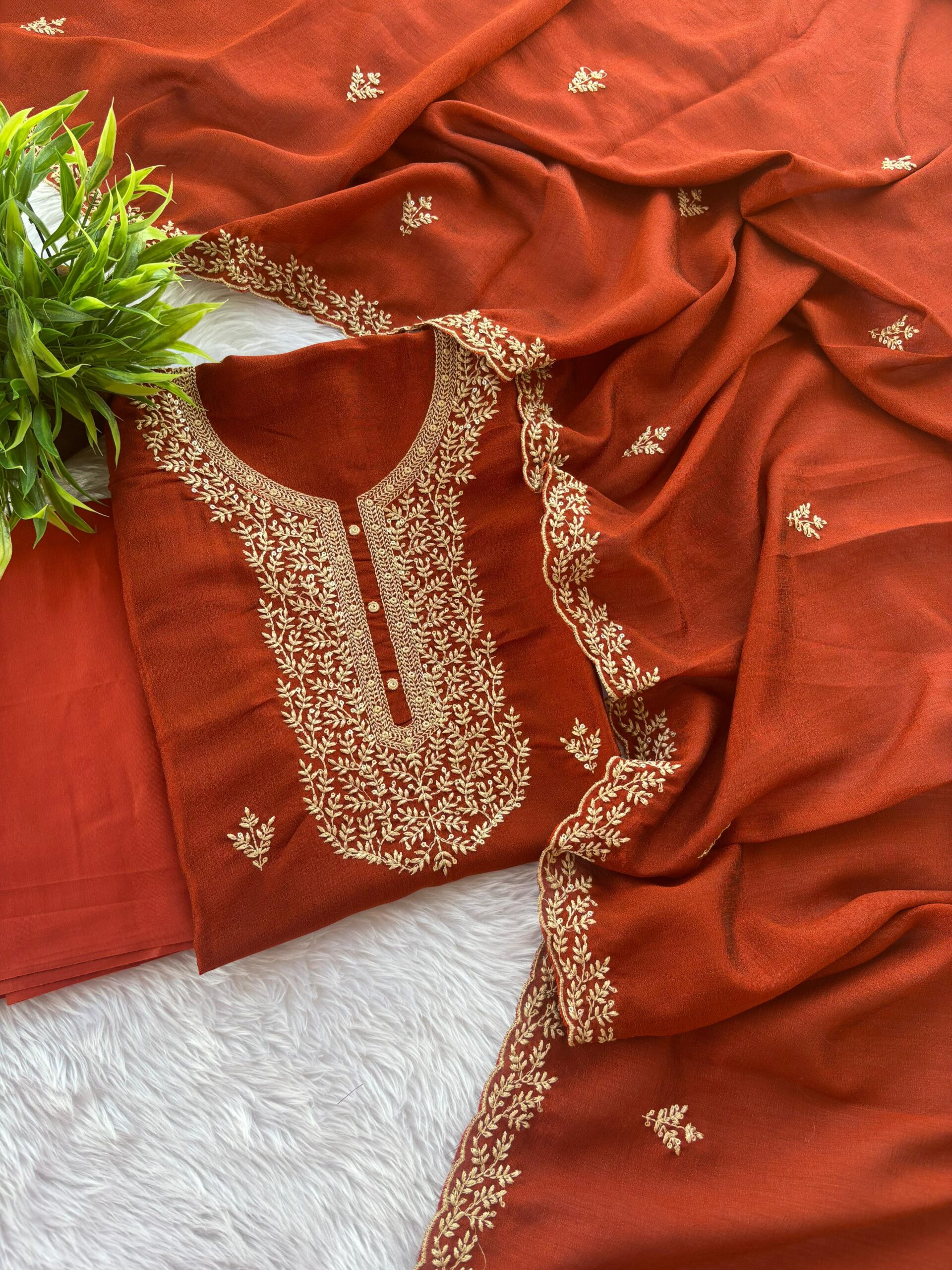 WhatsApp Image 2026-02-13 at 11.30